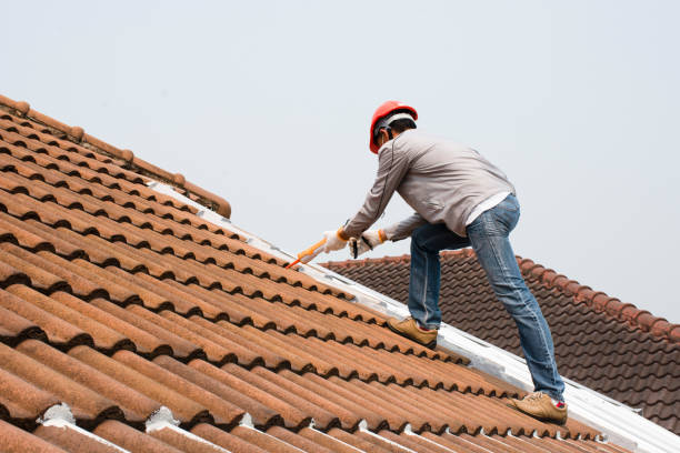 Best Roof Moss and Algae Removal  in Glespie, IL